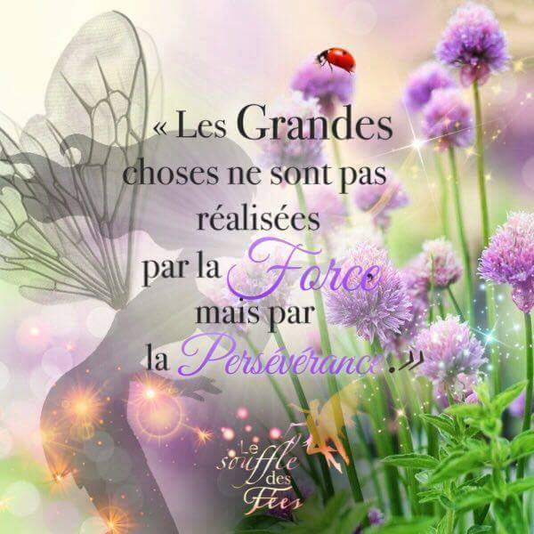 Citation Les grandes choses....jpeg